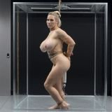 CD0Q3RIS.G-QAKGV2BH.K