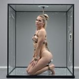 EWLVAN1Y.Z-KU2DABCY.M