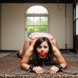 5ALA54I5.V-XN2NC505.X